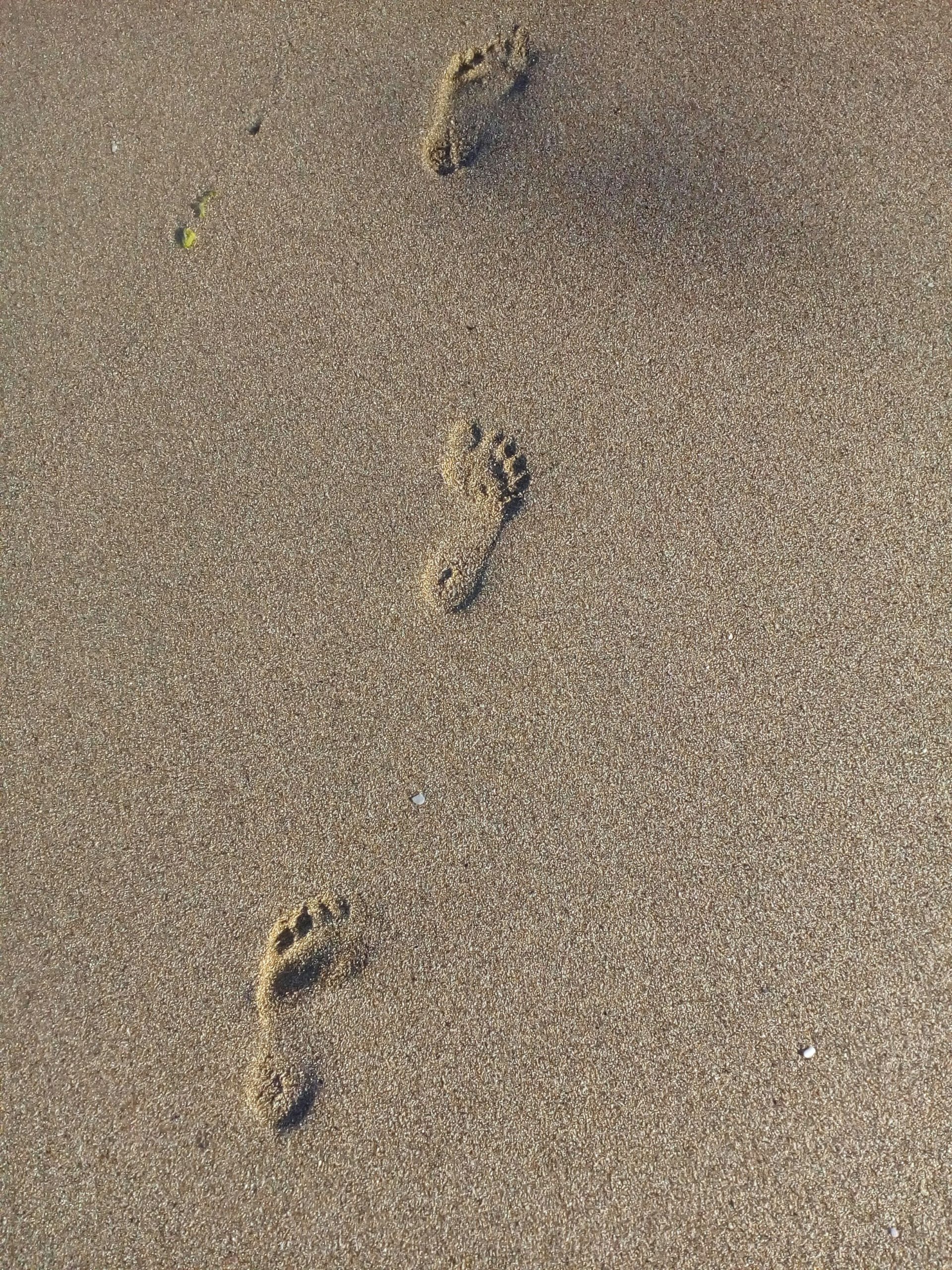 A Few Steps Towards Success